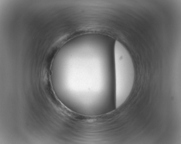 X0000082970692200702011143