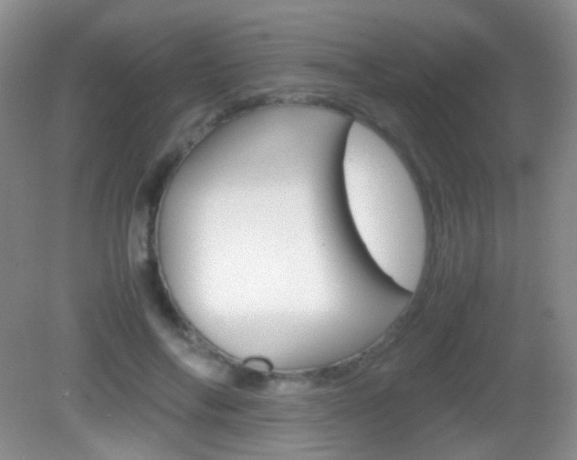 X0000082970694200702011143