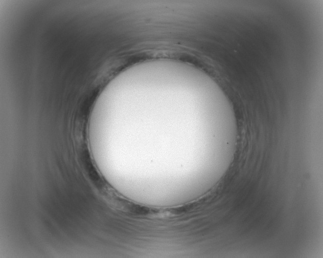 X0000082970695200702011143