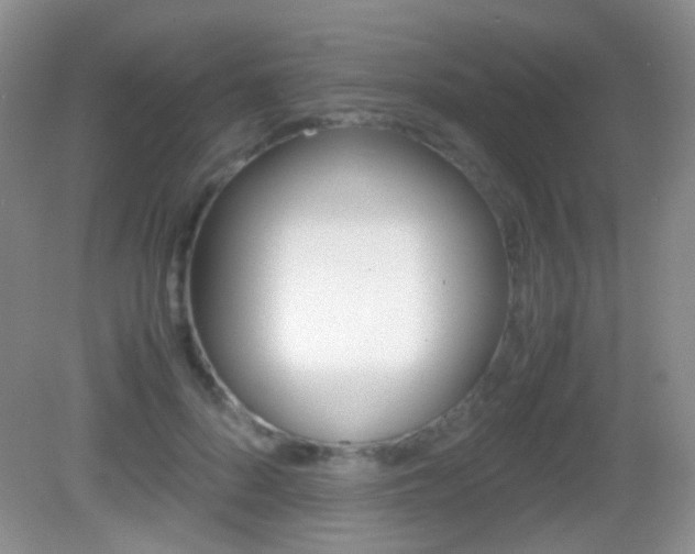 X0000082970696200702011143
