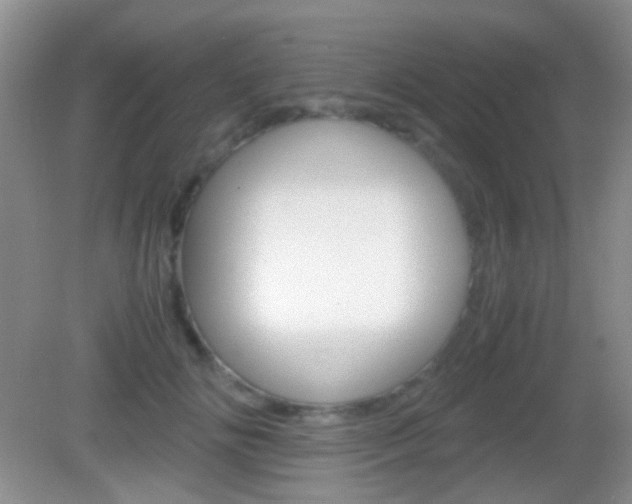 X0000082970702200702011142
