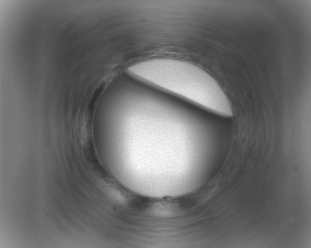 X0000082970708200702011142