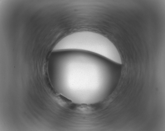 X0000082970712200702011142