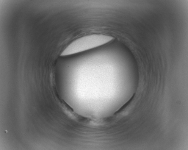 X0000082970720200702011142