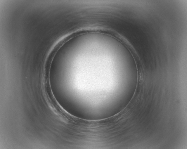 X0000082970724200702011141