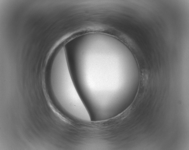X0000082970726200702011141