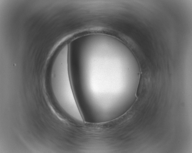 X0000082970728200702011142