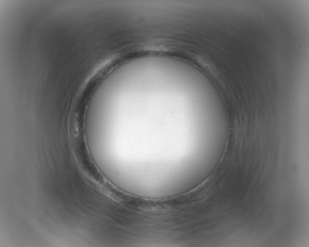 X0000082970731200702011142