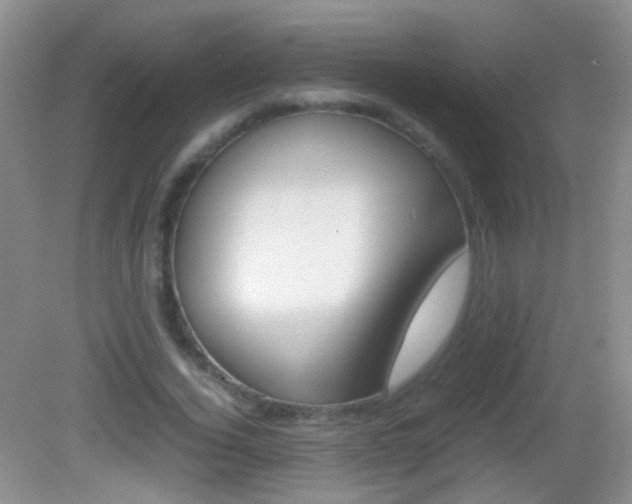 X0000082970732200702011142