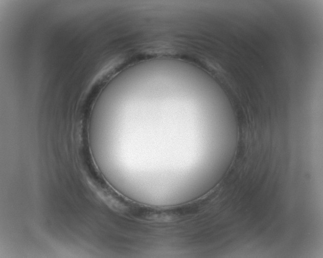X0000082970735200702011142