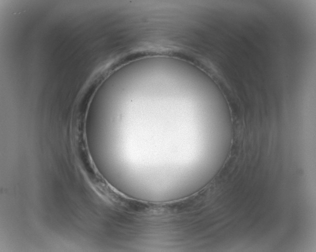 X0000082970736200702011142