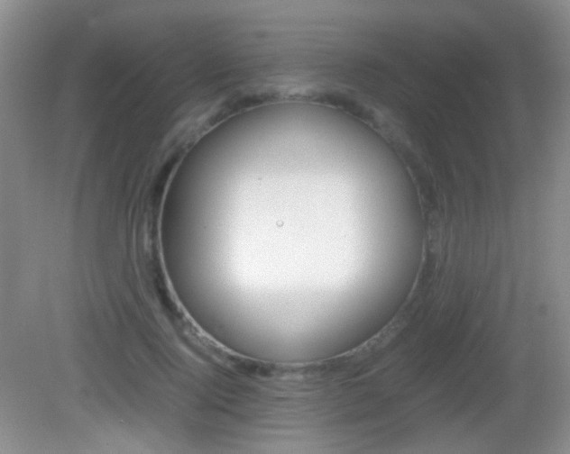 X0000082970740200702011142