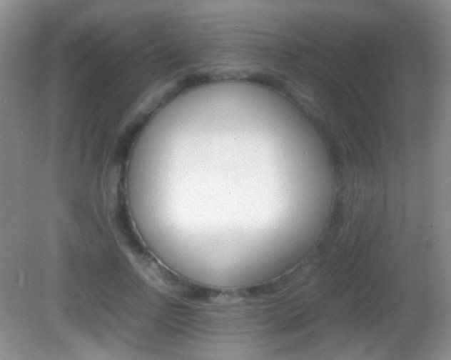 X0000082970742200702011142