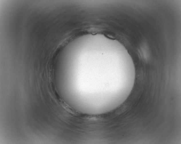 X0000082970755200702011142