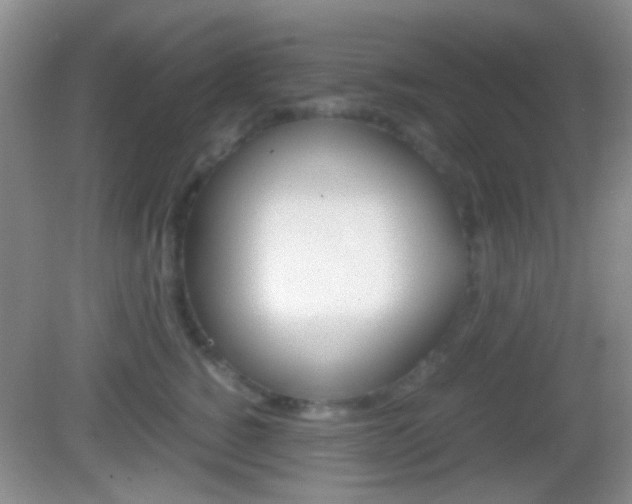 X0000082970760200702011142
