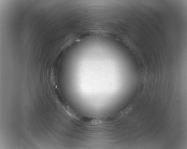 X0000082970764200702011142