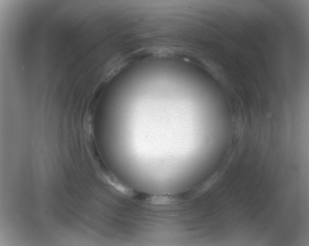 X0000082970766200702011142