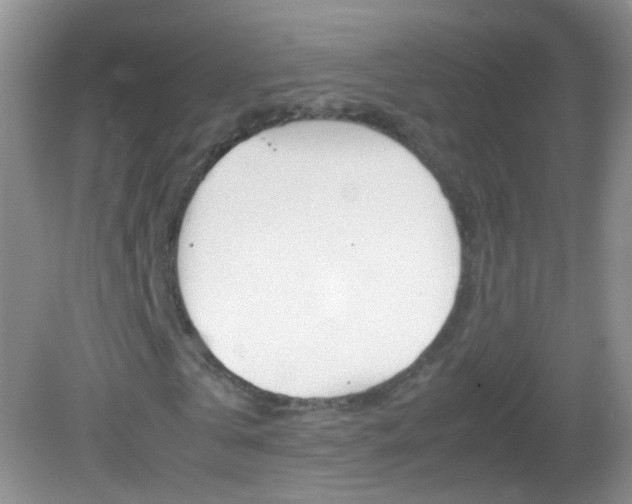 X0000082970769200702011141
