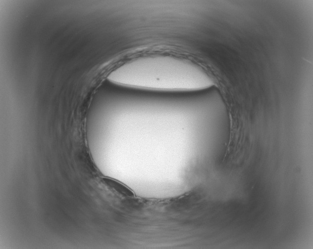 X0000082970773200702011141