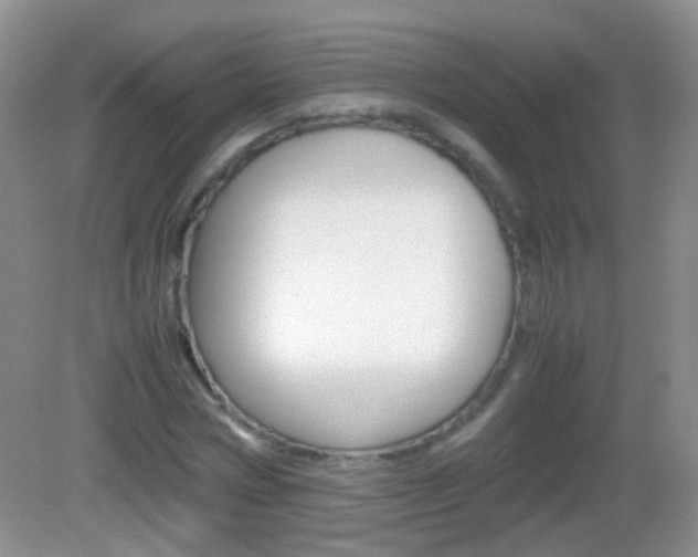 X0000082970778200702011141