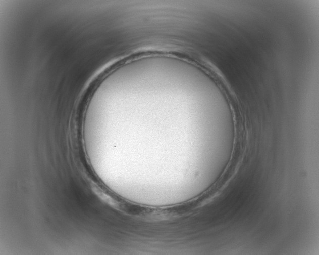 X0000082970779200702011141