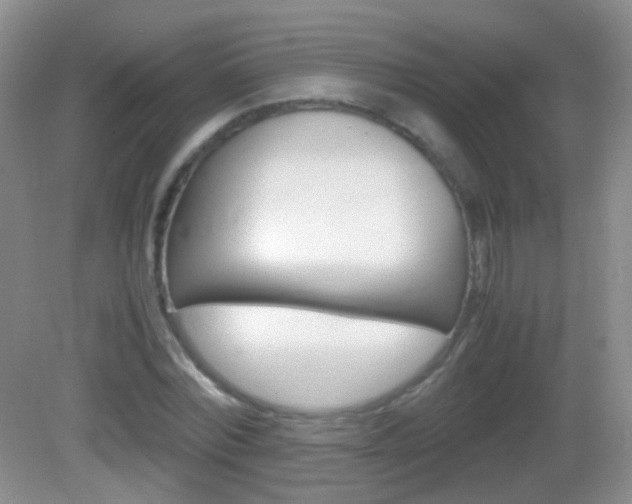 X0000082970780200702011141