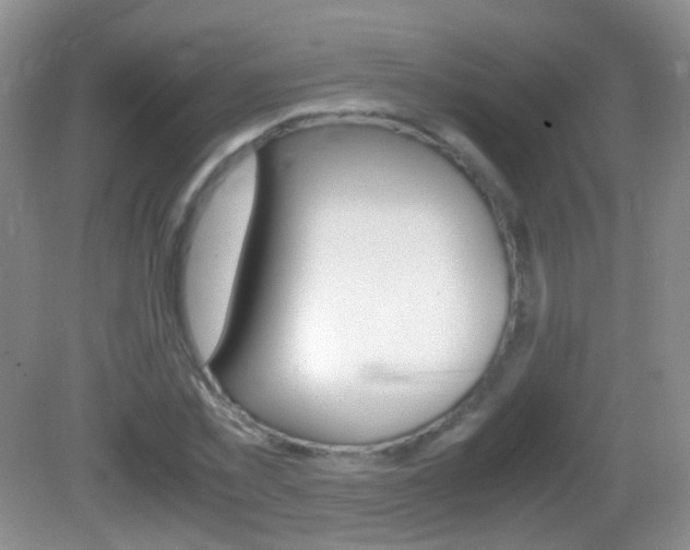 X0000082970781200702011141