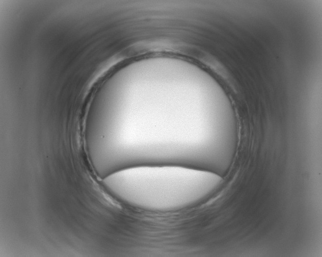 X0000082970782200702011141