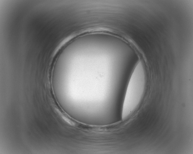 X0000082970789200702011141
