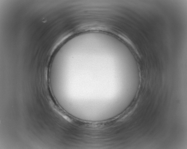 X0000082970790200702011141