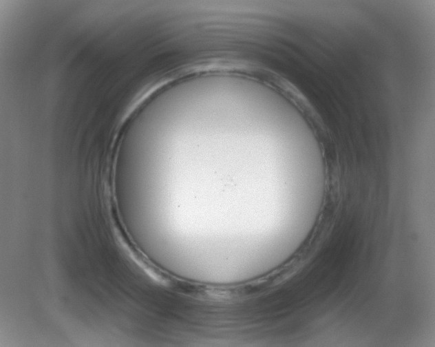 X0000082970794200702011141