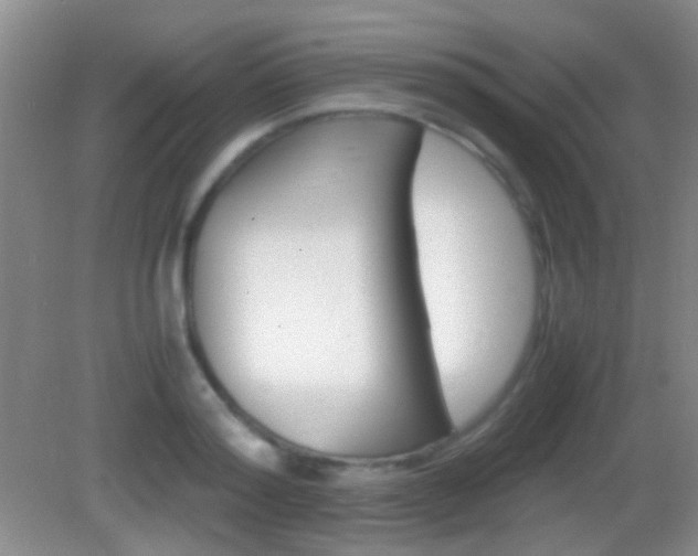 X0000082970796200702011141