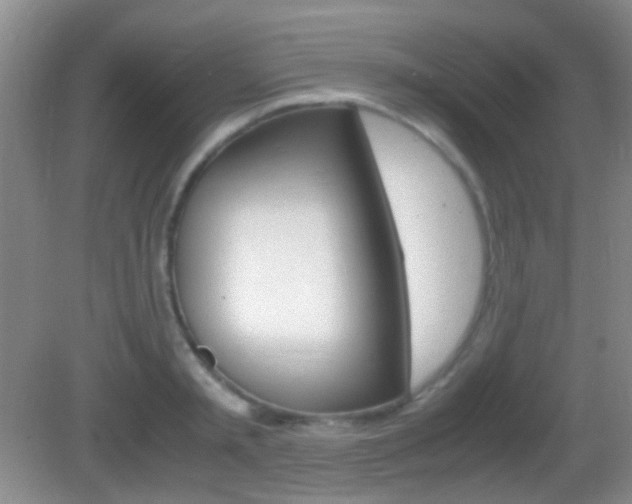 X0000082970797200702011141