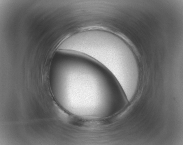 X0000082970801200702011141