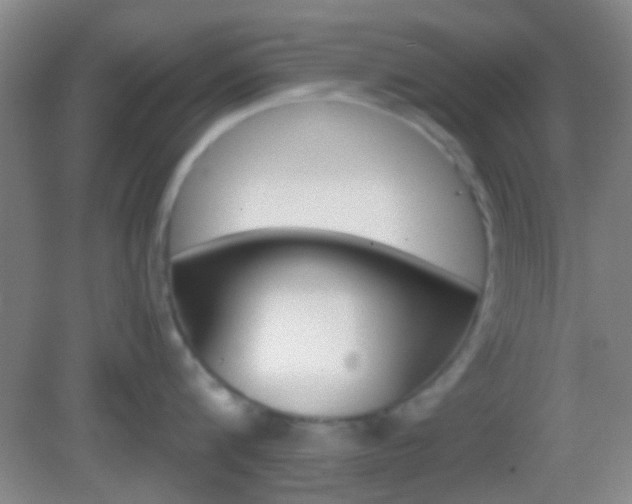 X0000082970816200702011141