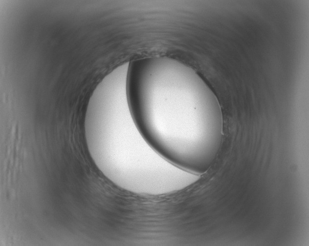 X0000082970818200702011140