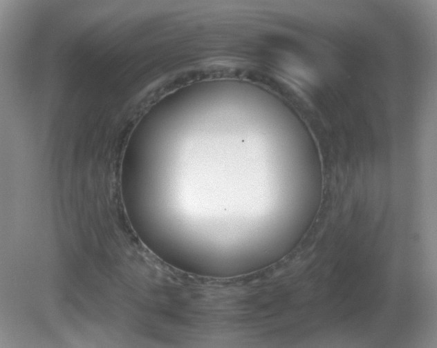 X0000082970821200702011140