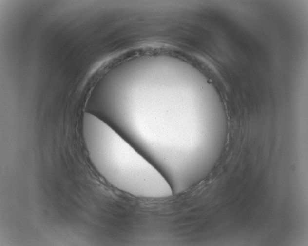 X0000082970823200702011140
