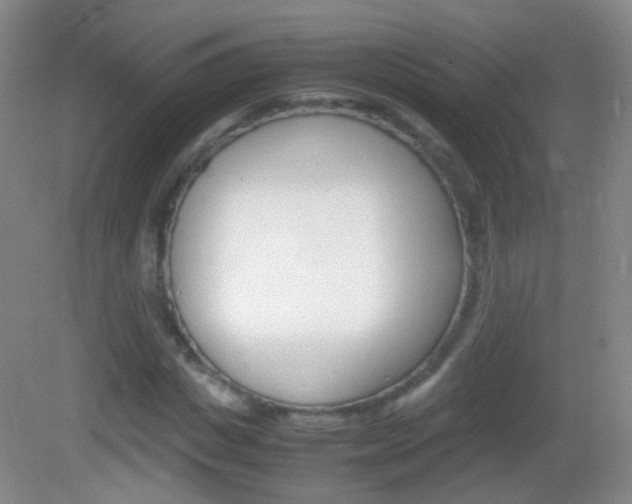 X0000082970825200702011140
