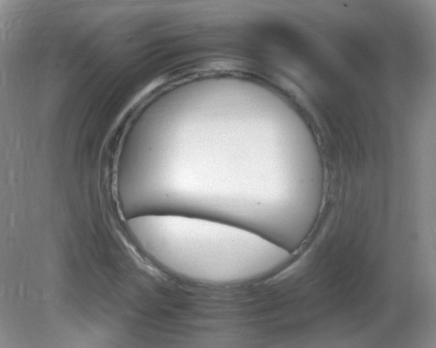 X0000082970827200702011140