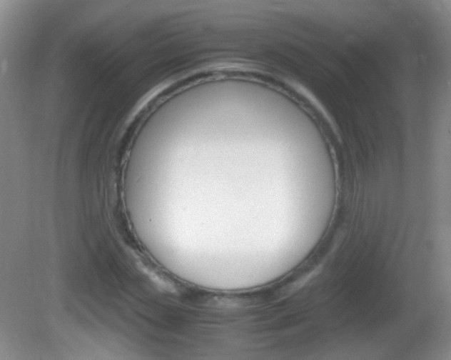 X0000082970829200702011140