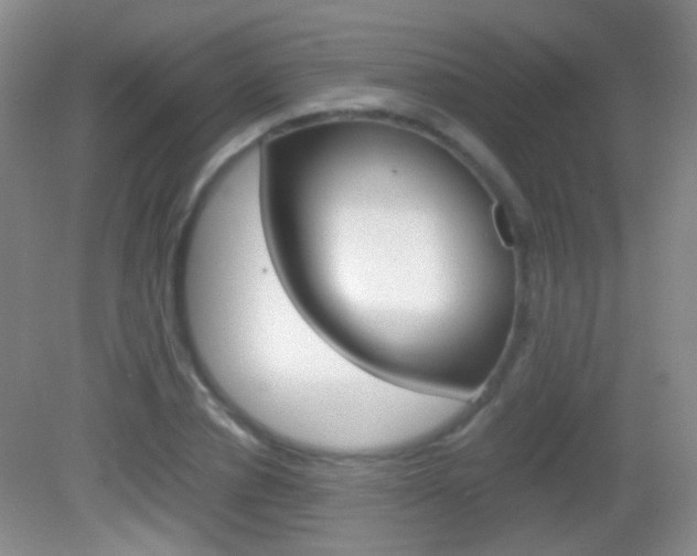 X0000082970834200702011140