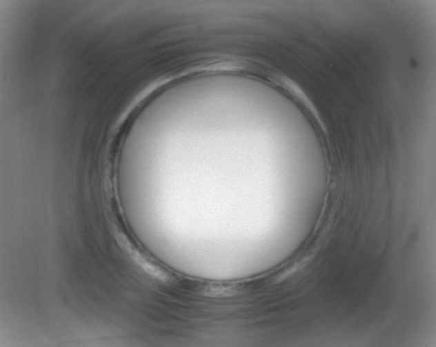 X0000082970835200702011140