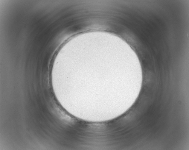 X0000082970836200702011140