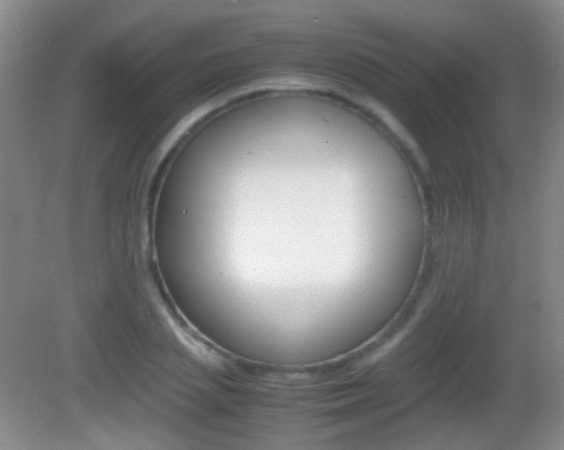 X0000082970837200702011140
