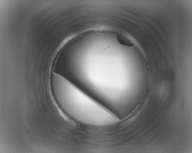 X0000082970845200702011140