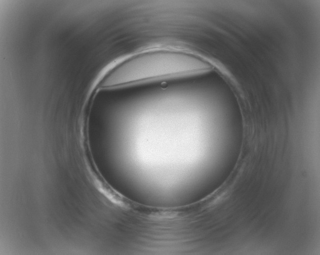 X0000082970846200702011140