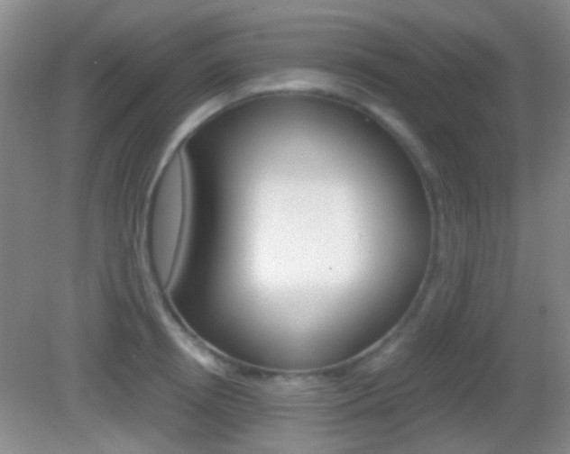 X0000082970850200702011140