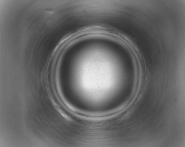 X0000082970858200702011140