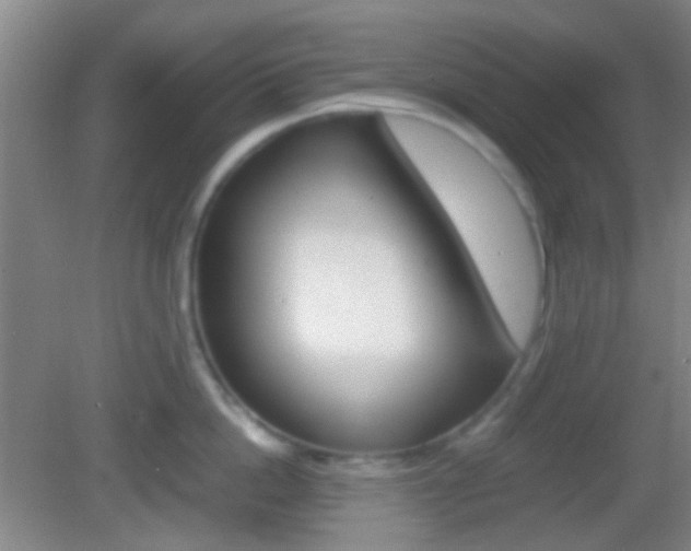 X0000082970862200702011141